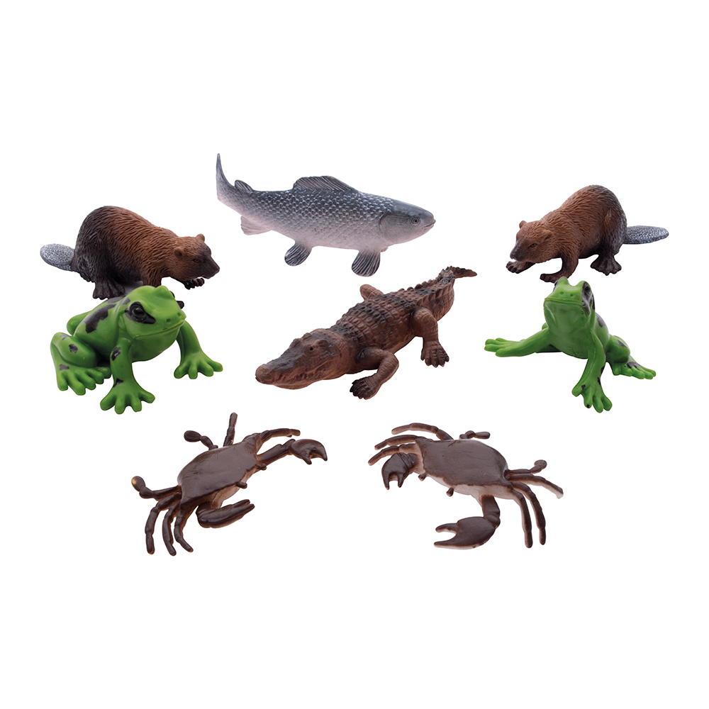 NCD06011-02.png