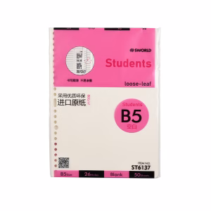 Repuesto Hojas B5 blancas